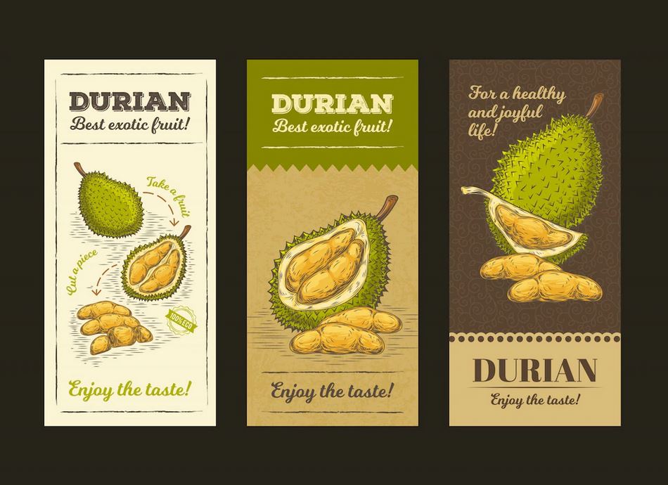 food packaging design durian