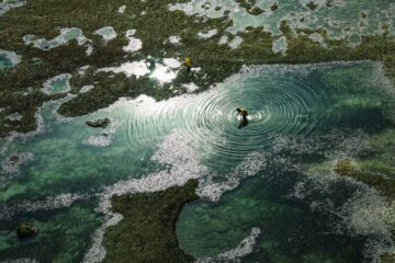 How Much Should a Malaysian Business Budget for SEO Services