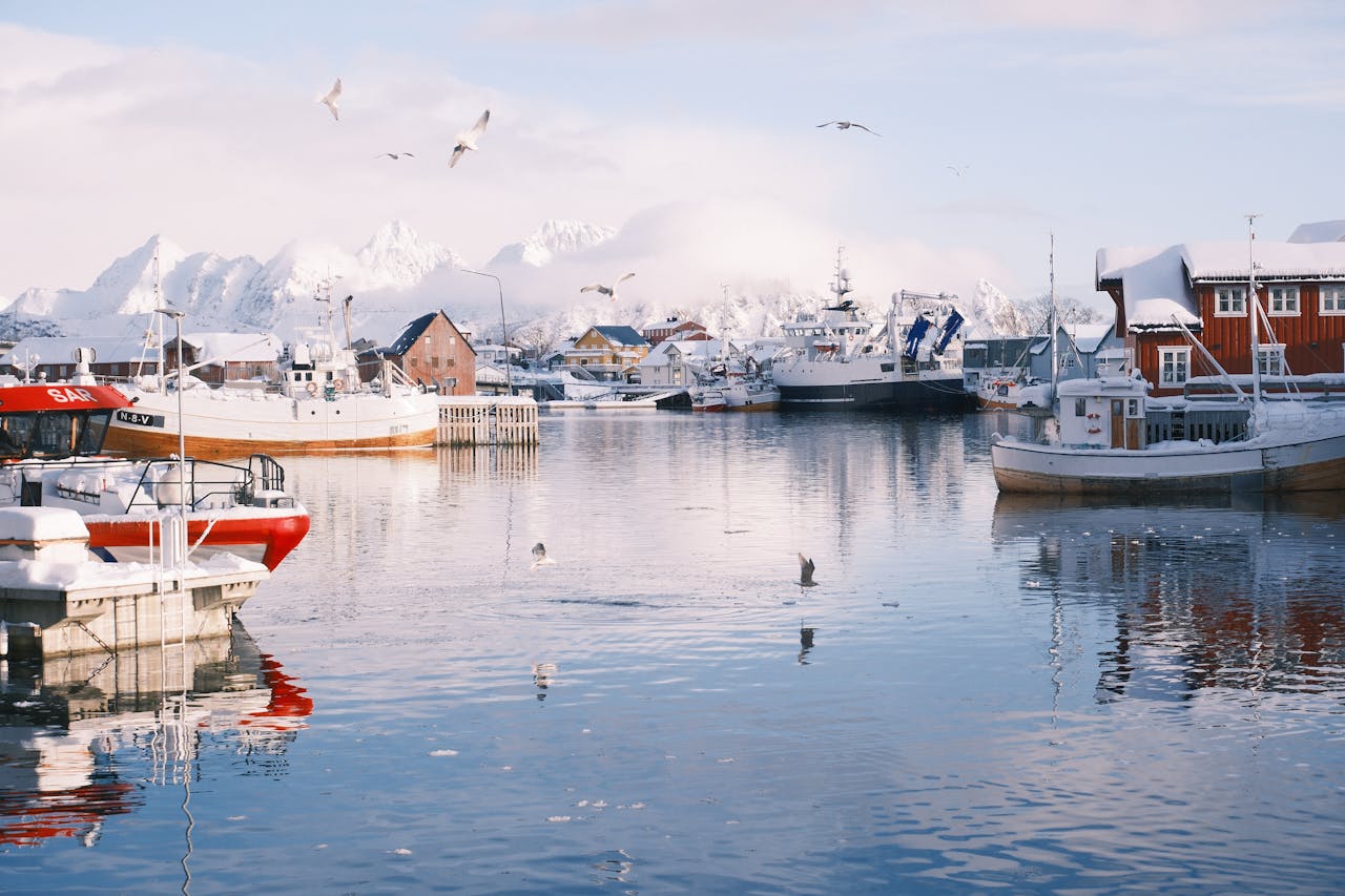 Lack of Portfolio, Lack of Proof Lack of Credibility